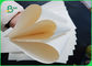 Strappi la prova 160gsm biodegradabile di carta rivestito di polietilene con il film del PE 10