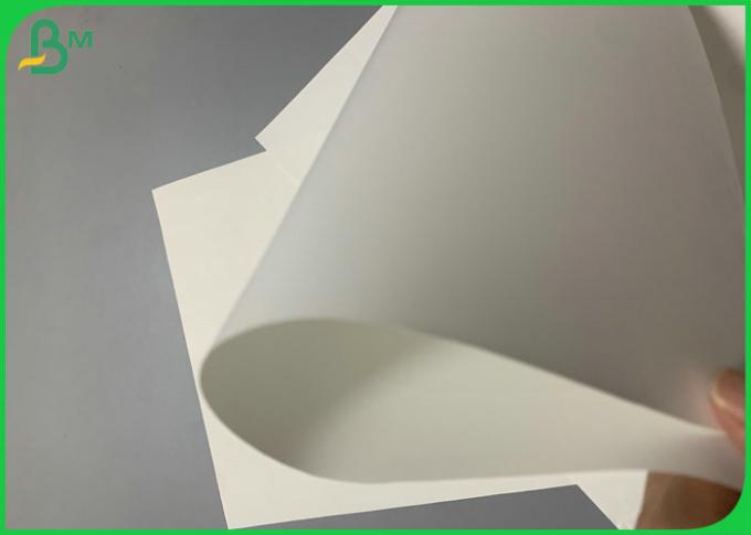 Stampabilità eccellente di carta sintetica tearable non 8