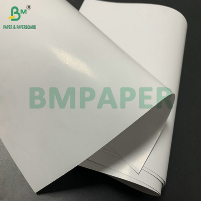 60# 80g 90g C1S rivestito da un lato con carta da disegno a superficie lucida 28' x 24'