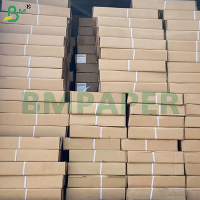 20lb CAD Plotter Paper Rolls per la stampa ingegneristica 610mm*150m