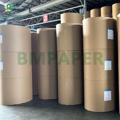 MG Carta Kraft naturale marrone a nervatura non sbiancata 50 grammi Rulli 800 mm Largo nucleo 76 mm