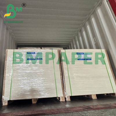 210 grammi di carta per tè con rivestimento in PLA