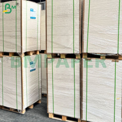 230+15 Fogli di carta per tazze GSM resistenti alle perdite e ad alta rigidità