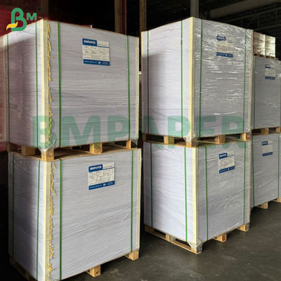 300 gm Super White Bristol Board Non rivestito Superfici lisce e libere da acido 19 x 24"