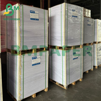 Carta kraft bianca laminata a prova di grasso 75 gm per cucina 500x600 mm