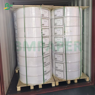 70 g Bollettini di vendita al dettaglio di carta inossidabile a tre strati bianca e blu e verde