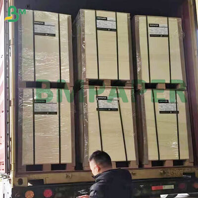 Cartone assorbente di polpa altamente assorbente 0.4-2.0mm per sottobicchieri, bianco naturale