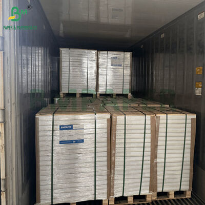 Carte patinate senza legno non patinate da 250 g/m² e 300 g/m² per la stampa di libri 61 x 86 cm