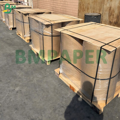 Carta Termica Resistente al Freddo a Prova di Congelamento per Magazzini Frigoriferi e Esterni