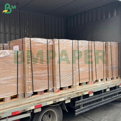 Carta Kraft Vergine da 80 g/m² per la produzione di sacchi 73 cm x 89 cm