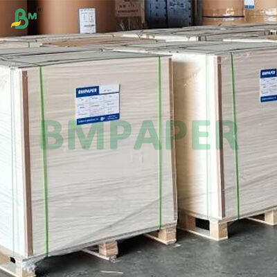 315g + 15g Cartone PET bianco rivestito per piatti alimentari