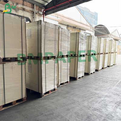 40 Pt Cartoncino Naturale Non Patinato con Buona Assorbenza