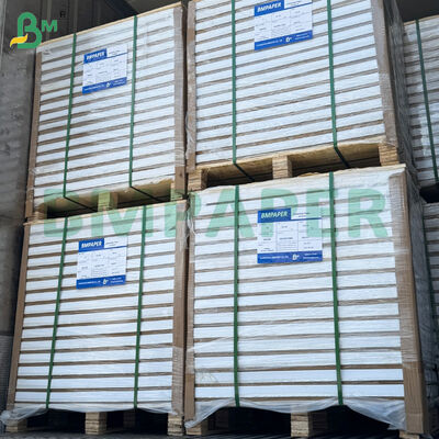 250/300 gm Carta da cartellone lucida a doppio lato 787 mm*1092 mm