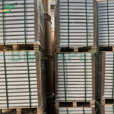 Fogli di carta patinata lucida C2S a doppia faccia da 100/180/200 g/m²