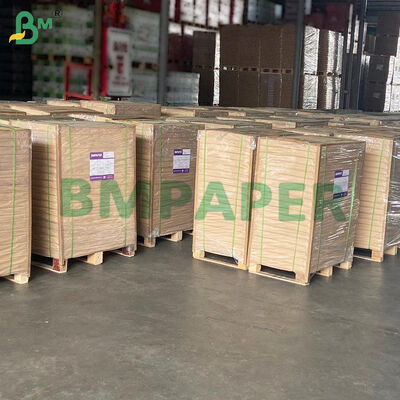 Carta da forno antiaderente per friggitrice ad aria, vaporiera, forno, bianco e naturale