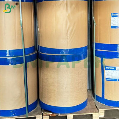 350gsm+10gsm PE Coated Kraft Bowl/Plate Paper Rolls Food Grade