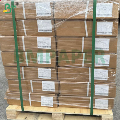 A0 Largo formato CAD Plotter Paper Rolls 80gm. 914mm × 50m, 5 Rolls Per Cartone