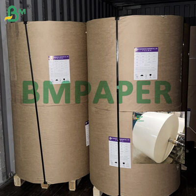 865mm 940mm Grado alimentare Bianco Cupstock Rulli di carta 150-320gsm + rivestimento in PE