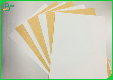Campioni gratuiti supportati 250g 325g 365g cartone di carta kraft rivestito per scatole alimentari