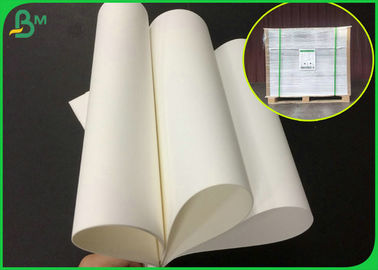 Colore bianco resistente strappare 180 la carta di Matt pp del micron per stampa a getto di inchiostro