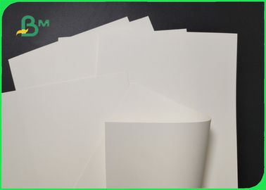 Polpa vergine carta bassa di Cupstock del PE 170gsm + 20g per rigidezza della tazza di caffè alta