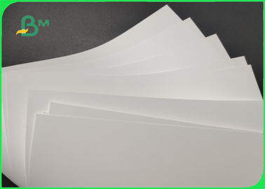 carta sintetica opaca di 180um 250um per resistenza allo strappo impermeabile della mappa