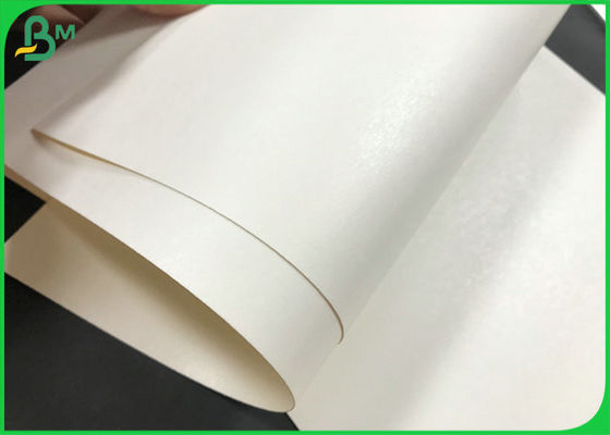 Il PE del commestibile o il PLA ha ricoperto il cartone basato bianco Rolls per le tazze di carta