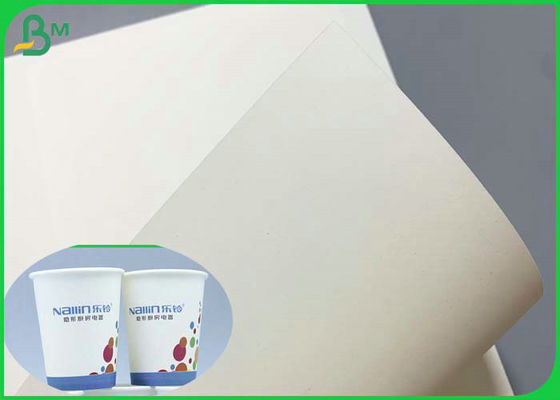 Il PE di 230g diplomato SGS 260g ha ricoperto il rotolo di carta basso di Cupstock 850mm