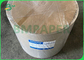 carta della tazza di caffè del PE 260gsm + 15g per le bevande calde 735mm 780mm biodegradabili