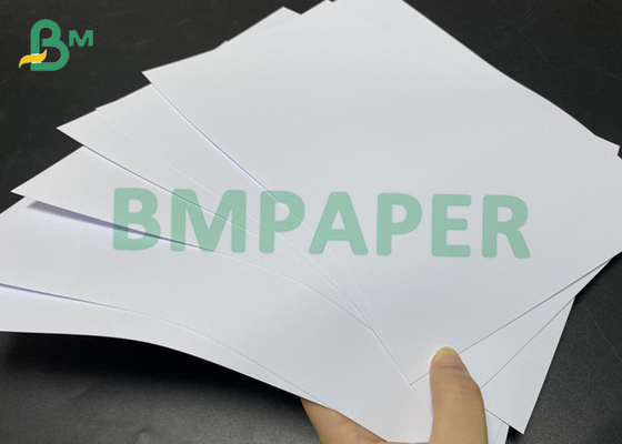 260gsm stampa a getto di inchiostro veloce dell'inchiostro di 432mm x di 610mm di carta fotografici