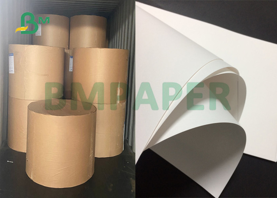 3" Libro Bianco di categoria alimentare del centro 100gsm 120gsm per produrre larghezza conica 20,5 delle tazze dell'acqua»