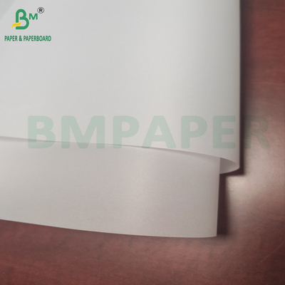 Carta tracciante trasparente 24 in X 50 Yds Sketch And Trace Roll Colore bianco