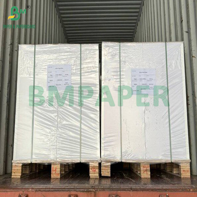 100 300 GSM Carta di canna da zucchero marrone leggera riciclabile di grado alimentare