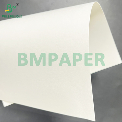 200 gm 400 gm carta bianca naturale di polpa di canna da zucchero di qualità alimentare