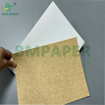 100% Sicurezza alimentare 325 grammi 360 grammi Cartone riciclato rivestito per la fabbricazione di scatole da pranzo