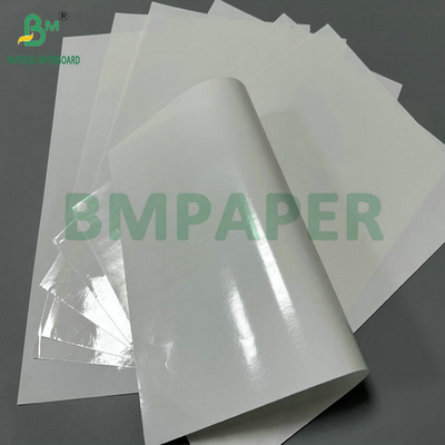 Carta rivestita in PE a 100 grammi, a 2 lati, 100% impermeabile e lucida, per la fabbricazione di sacchetti di imballaggio di semi