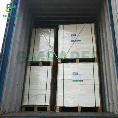 Carta rivestita in PE a 100 grammi, a 2 lati, 100% impermeabile e lucida, per la fabbricazione di sacchetti di imballaggio di semi
