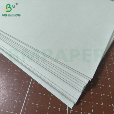 Carta assorbente bianca pura e resistente 0,6 mm