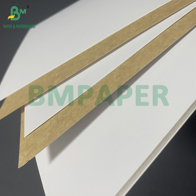 270 gm 300 gm Food Grade Coated White Top KLB Kraft Back Carrier Board 31" 43"