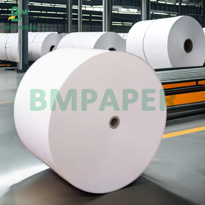 190 gm + 15 g di carta in rotoli per bevande calde o fredde con rivestimento PE
