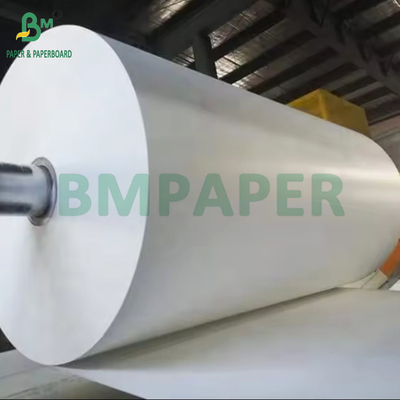 190 gm + 15 g di carta in rotoli per bevande calde o fredde con rivestimento PE