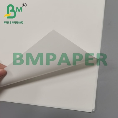 65 gm 70 gm Bianco unilaterale Glossoso Carta resistenza bagnata Per etichetta birra