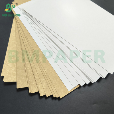 Piattaforma con fondo in kraft a più strati rivestita completamente di pigmento 275 gm Top Bianco