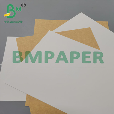 325g 787mm Alta Durabilità Cartone Kraft con rivestimento bianco per scatole regalo