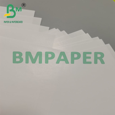 80g carta a manica conica monouso per dessert e snack