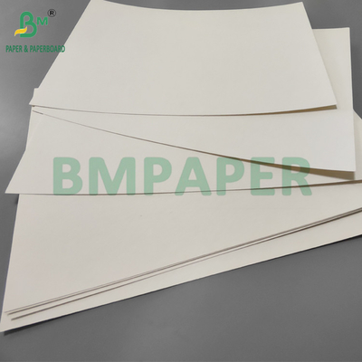 190gm + 15g PE P1S Coppa di carta lucente per caffetteria impermeabile 720mm 880mm