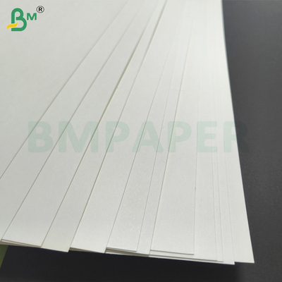 Carta per coppe rivestita in PE 1 PE 2 PE Carta per coppe rivestita in PE