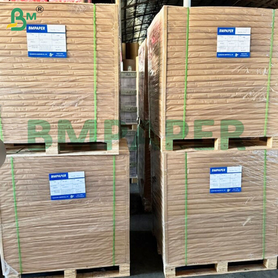 50 GSM Rulli di carta per filtri per caffè senza odore e ad alta efficienza di filtrazione