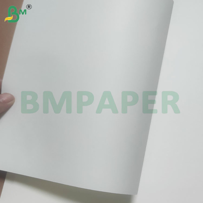 60/120 GSM Rollo di carta di paglia per bere con colori personalizzati