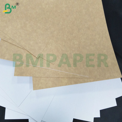 200-360 GSM Carta kraft rivestita su un lato resistente al congelamento